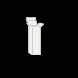 Immagine modello scatola per 1 singola bottiglia